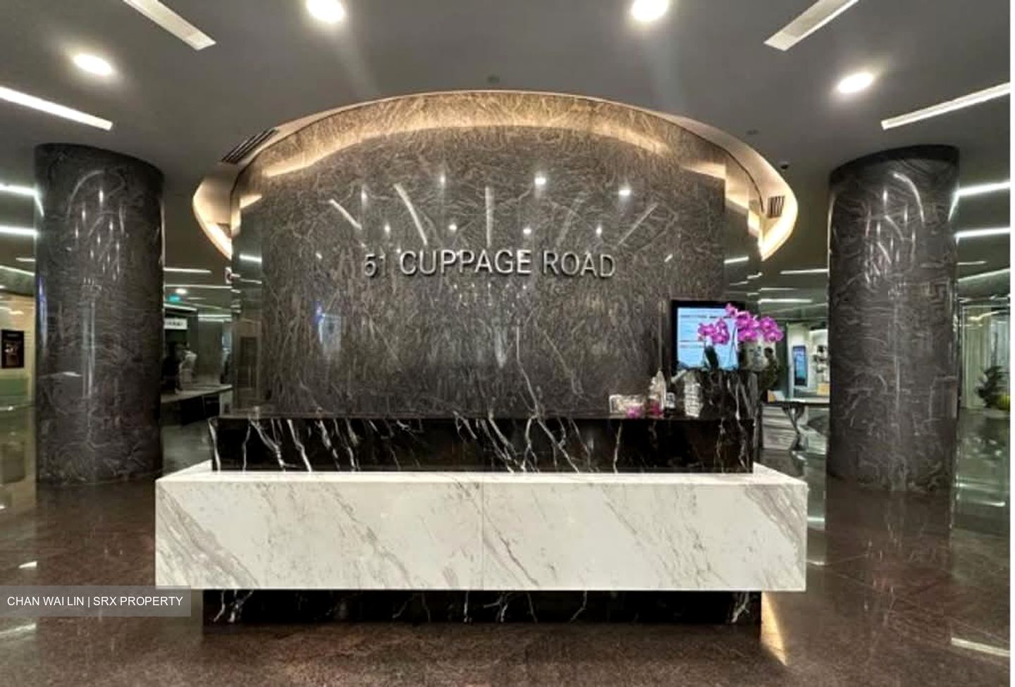 Cuppage Plaza (D9), Retail #585389111
